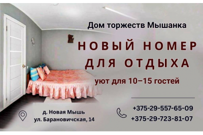 Новый номер для отдыха в МЫШАНКЕ